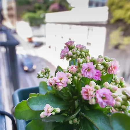 Dreams Estrela Lägenhet Lisboa